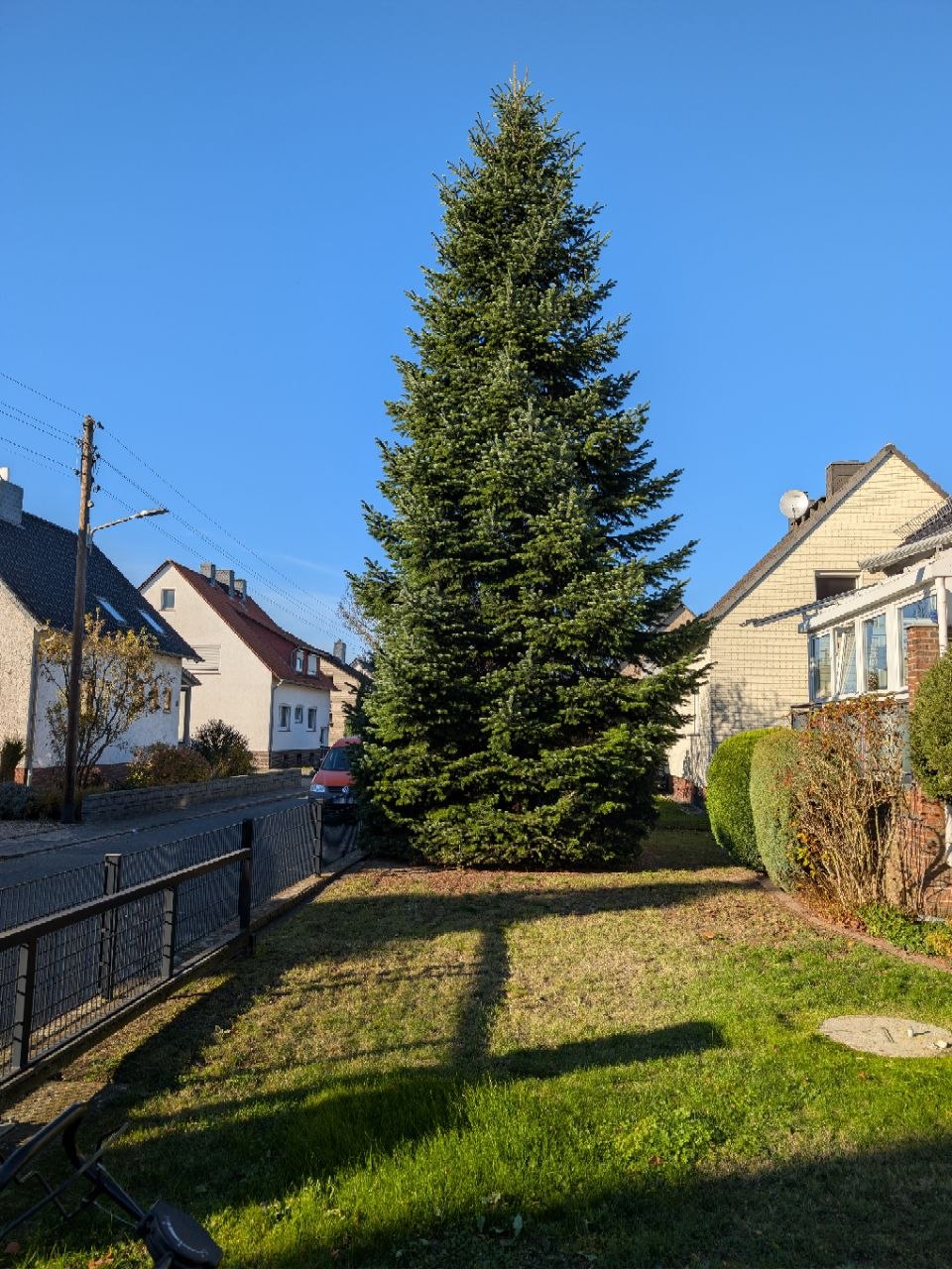 Rasenpflege in Braunschweig vorher