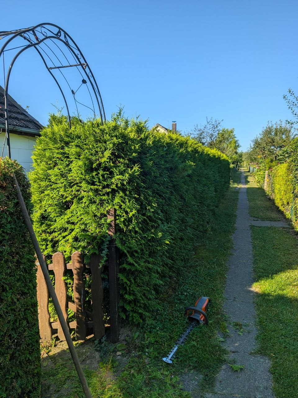 Heckenschnitt in Wolfenbüttel vorher