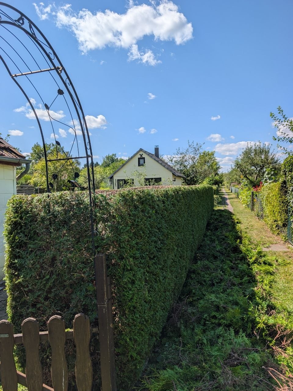 Heckenschnitt in Wolfenbüttel nachher