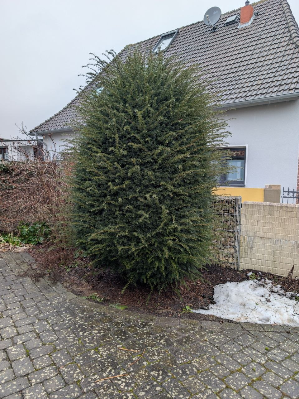 Formschnitt in Salzgitter vorher