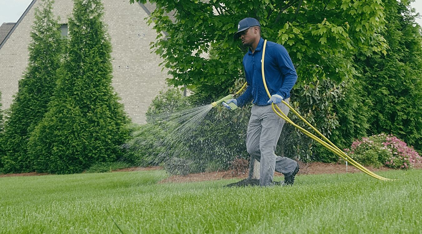 Gartenpflege in Peine: Lohnt sich ein Pflegevertrag?